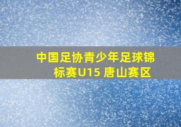 中国足协青少年足球锦标赛U15 唐山赛区